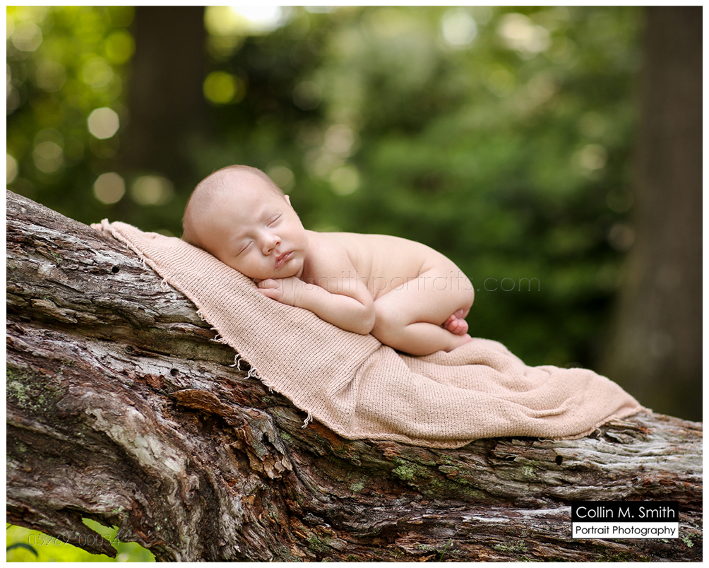 © Collin M. Smith Portrait Photography www.cmsmithportraits.com/blog